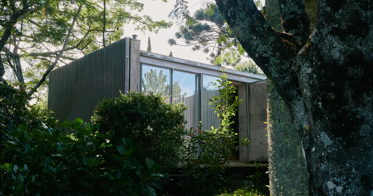 Casa do Jacarandá - Quinta da Bouça D'Arques